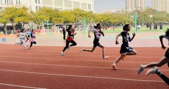 753f4aadbfd6d869c5a1693b601447a0